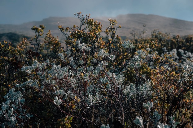 Dawn on Haleakala Maui