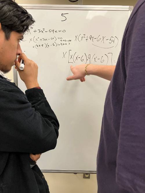 Student studying math