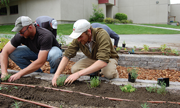 Image of the WVC learning and demonstration garden